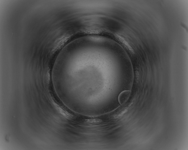 X0000093120541200709261330