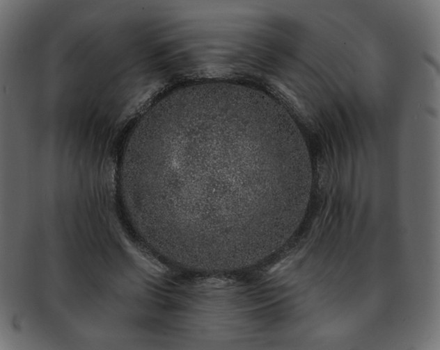 X0000093120542200709261330