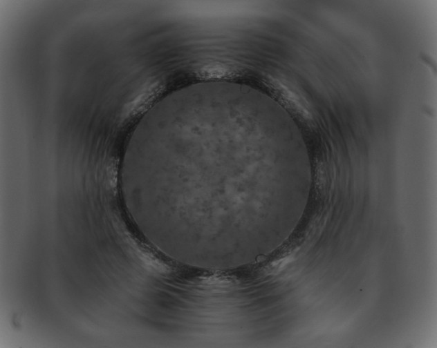 X0000093120545200709261330