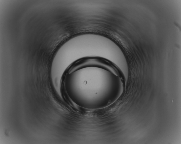 X0000093120546200709261330