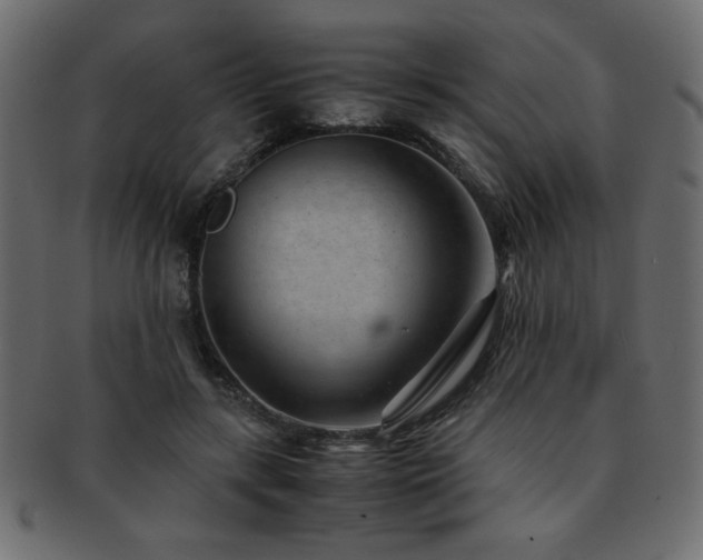 X0000093120547200709261330