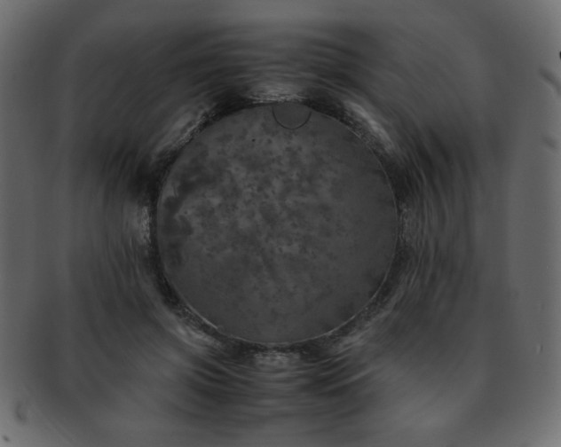 X0000093120549200709261330