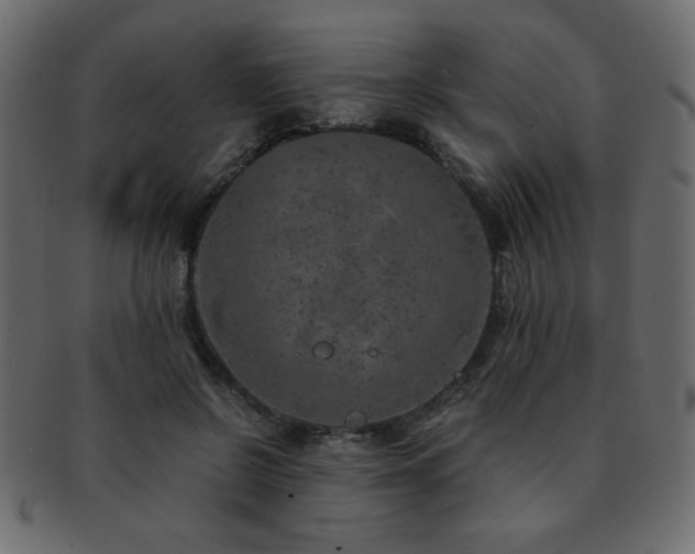 X0000093120550200709261330