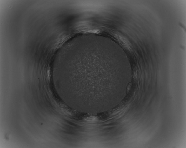 X0000093120551200709261330