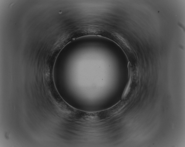 X0000093120552200709261330
