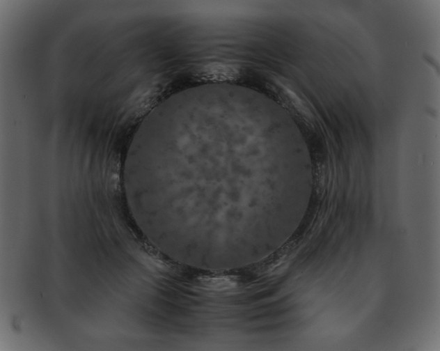 X0000093120553200709261330