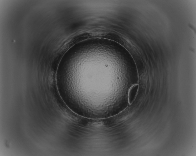 X0000093120554200709261330