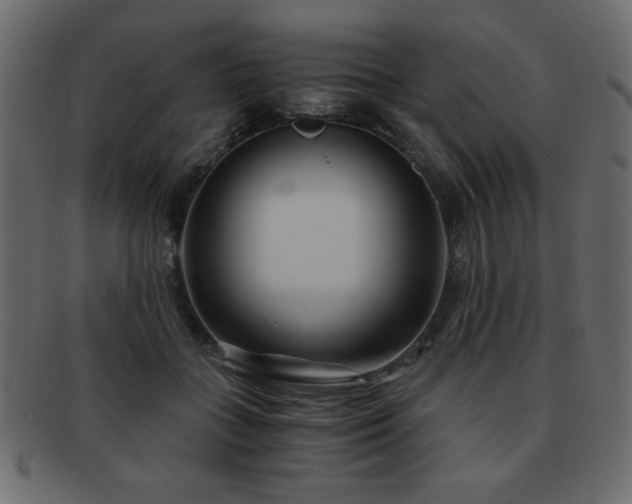 X0000093120555200709261330