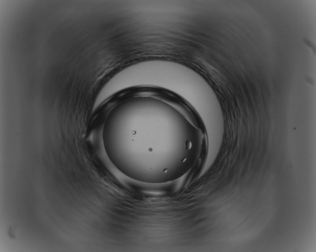 X0000093120556200709261330