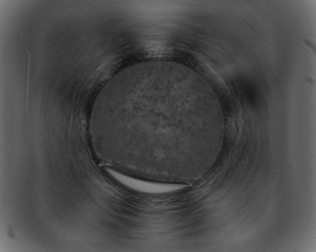 X0000093120557200709261330