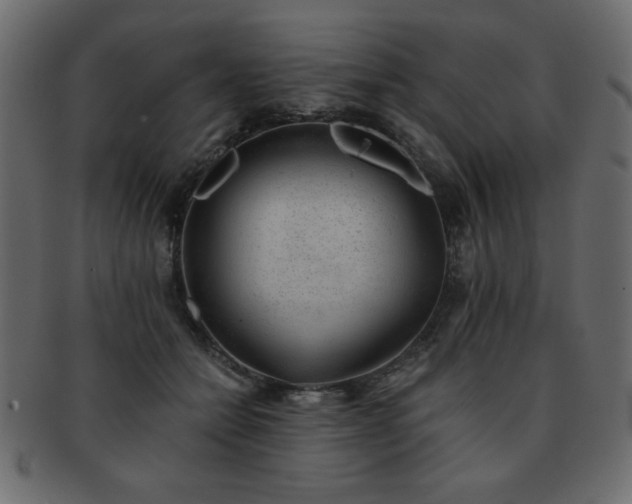 X0000093120558200709261330