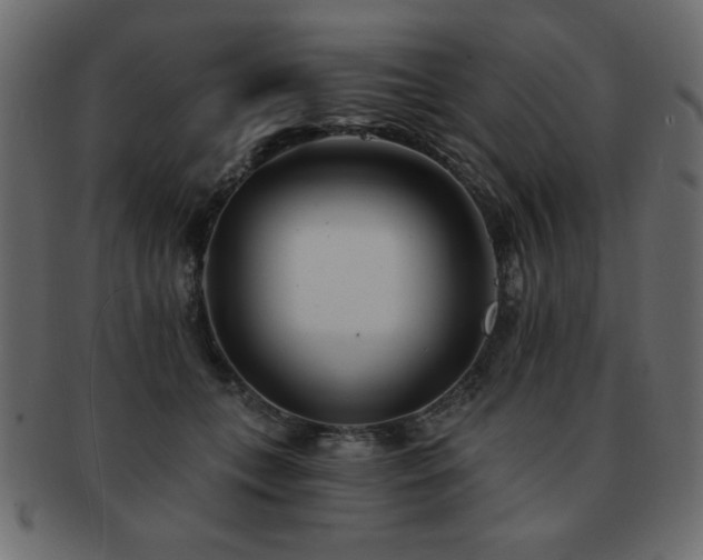 X0000093120559200709261330
