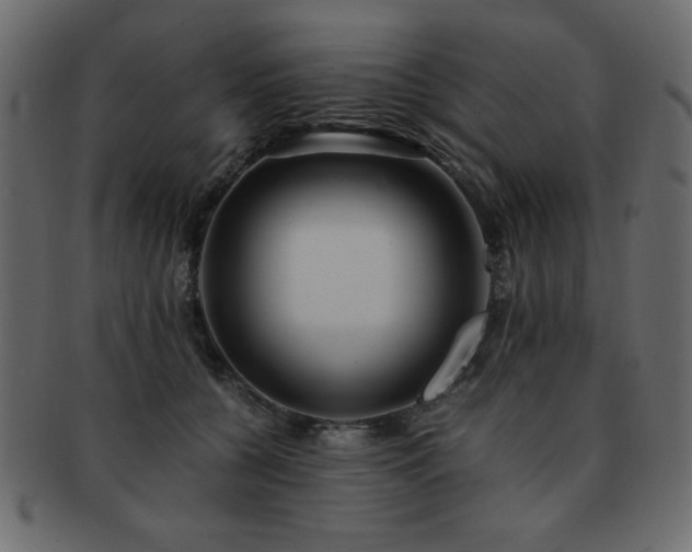 X0000093120560200709261330
