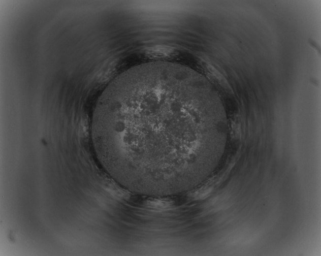 X0000093120561200709261330