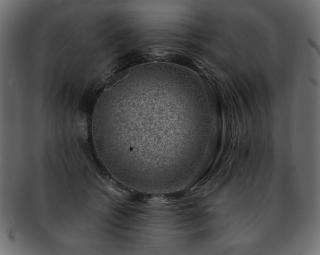 X0000093120562200709261330