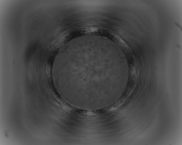 X0000093120565200709261330