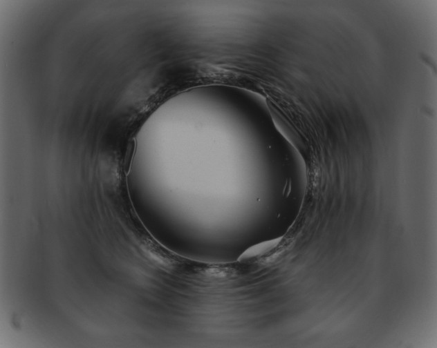 X0000093120566200709261330