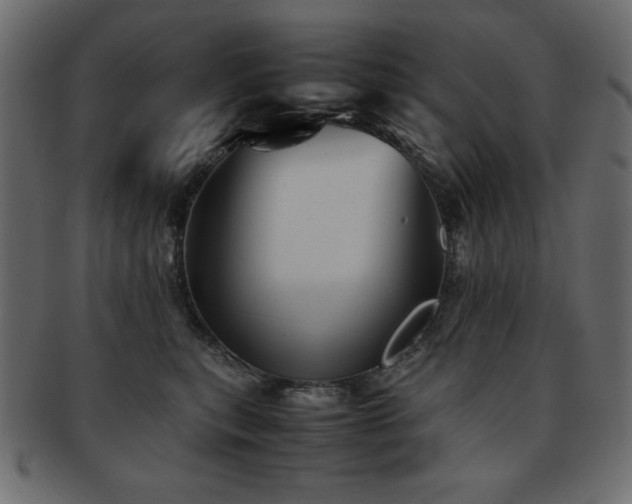 X0000093120567200709261330