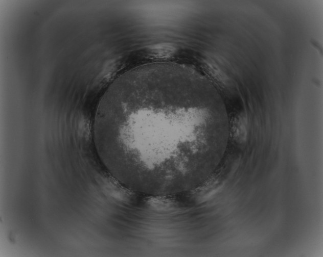 X0000093120568200709261330