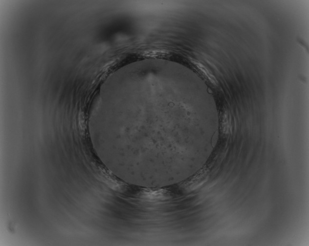 X0000093120569200709261330