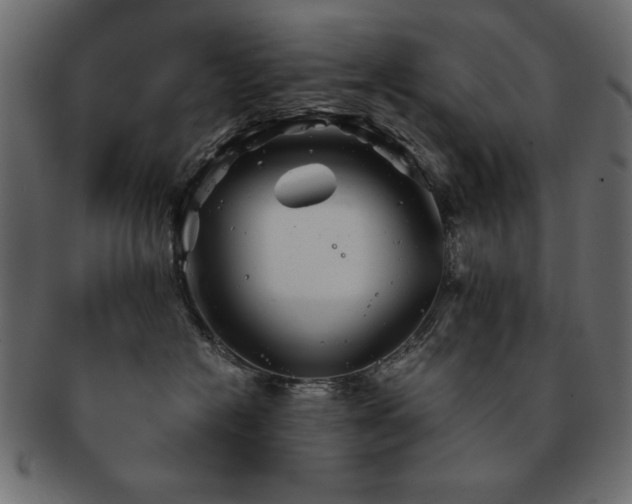 X0000093120574200709261330
