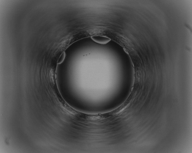 X0000093120575200709261330
