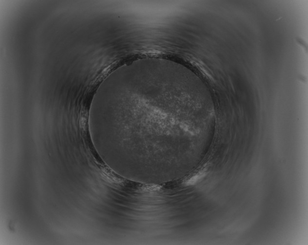 X0000093120576200709261330