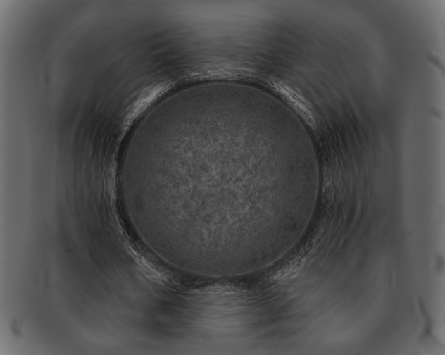 X0000093120578200709261330