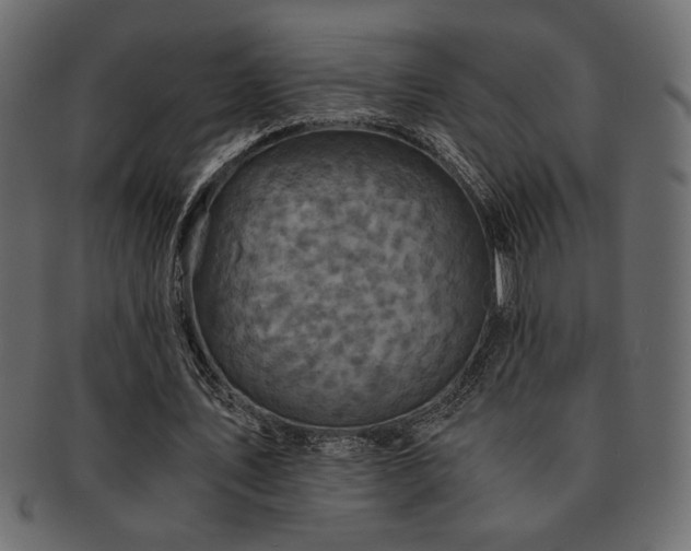 X0000093120579200709261329