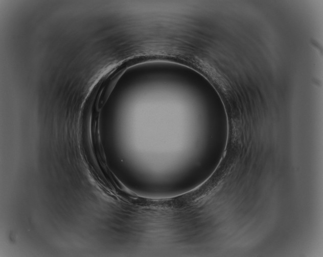 X0000093120580200709261329