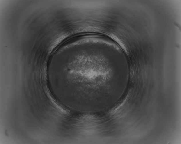 X0000093120581200709261329