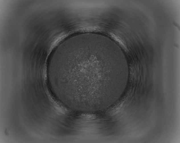 X0000093120582200709261329