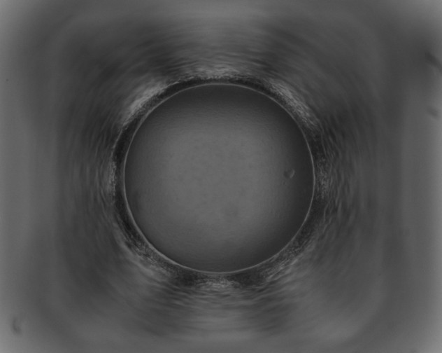 X0000093120583200709261329