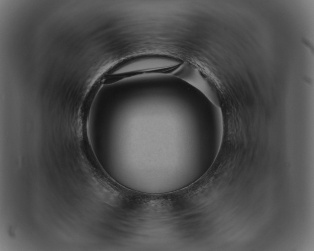 X0000093120584200709261329