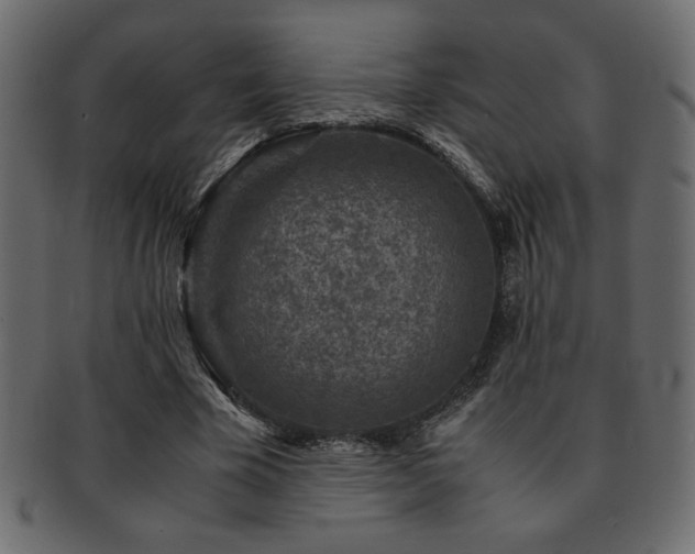 X0000093120585200709261329