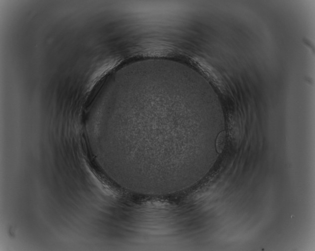 X0000093120586200709261329