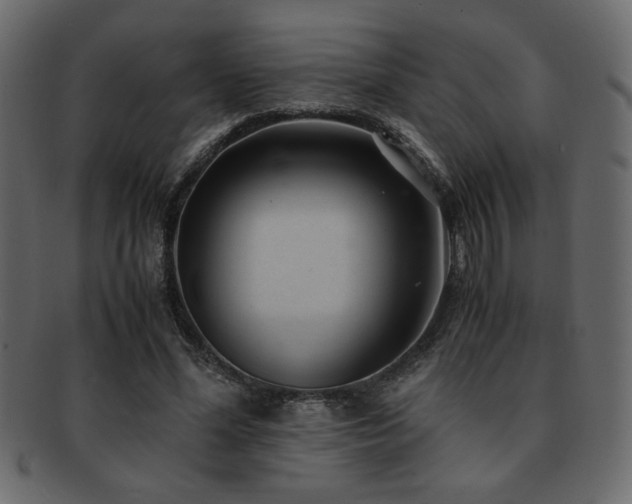 X0000093120588200709261329