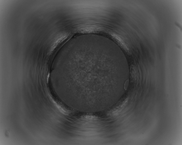 X0000093120590200709261329