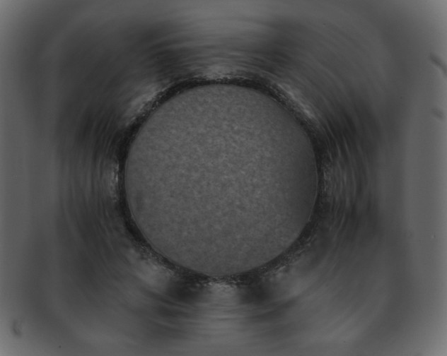 X0000093120592200709261329