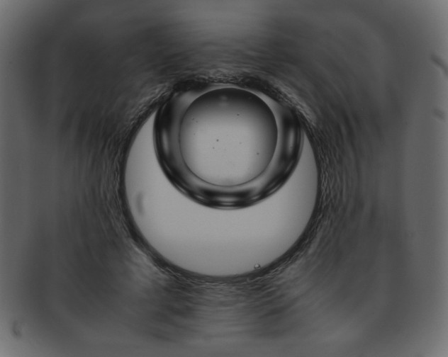 X0000093120593200709261329