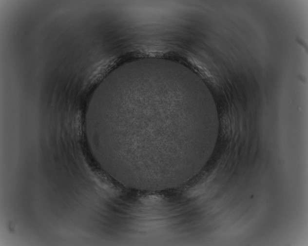 X0000093120594200709261329