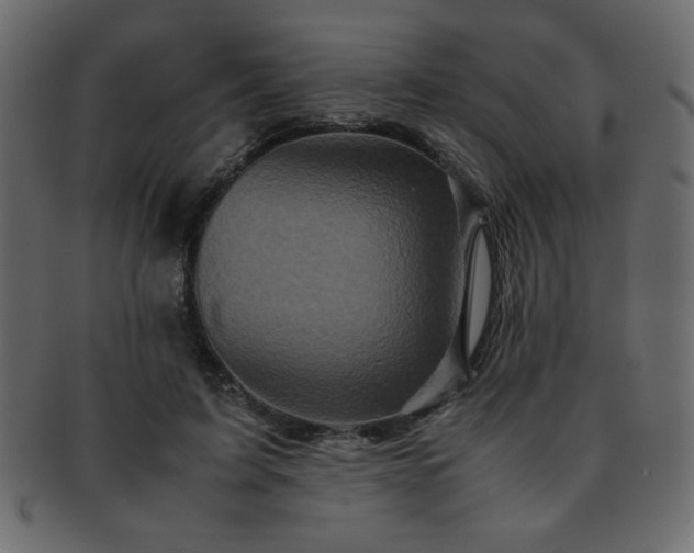 X0000093120595200709261329