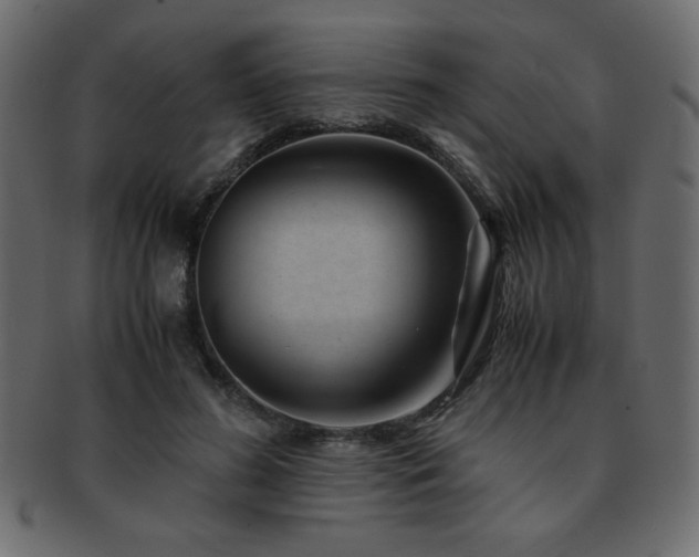 X0000093120596200709261329