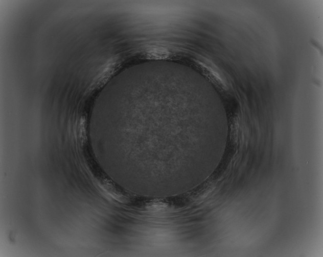 X0000093120598200709261329