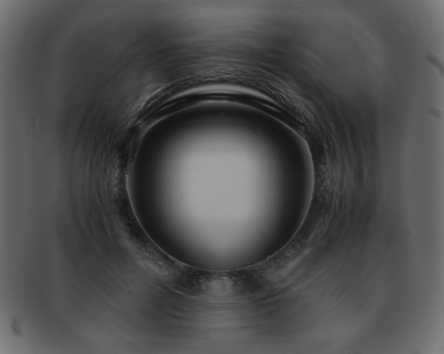 X0000093120600200709261329