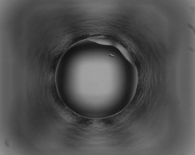 X0000093120601200709261329