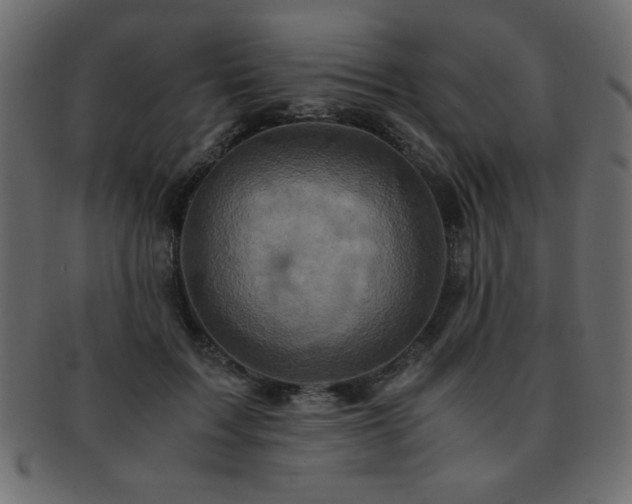 X0000093120603200709261329