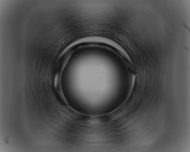 X0000093120604200709261329