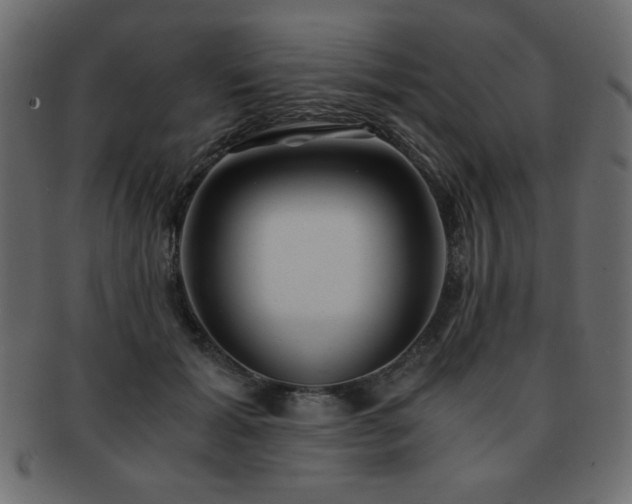 X0000093120605200709261329