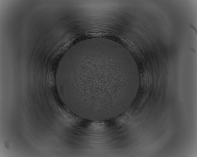 X0000093120606200709261329